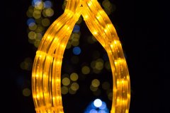 IMG_2989