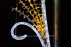 IMG_2999